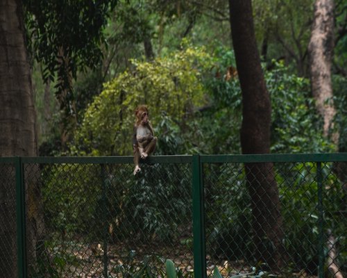 Smiling person walking in a green park in India